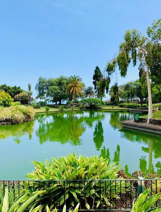Santa Catarina By Ola Madeira Apartment Funchal  Funchal (Madeira)