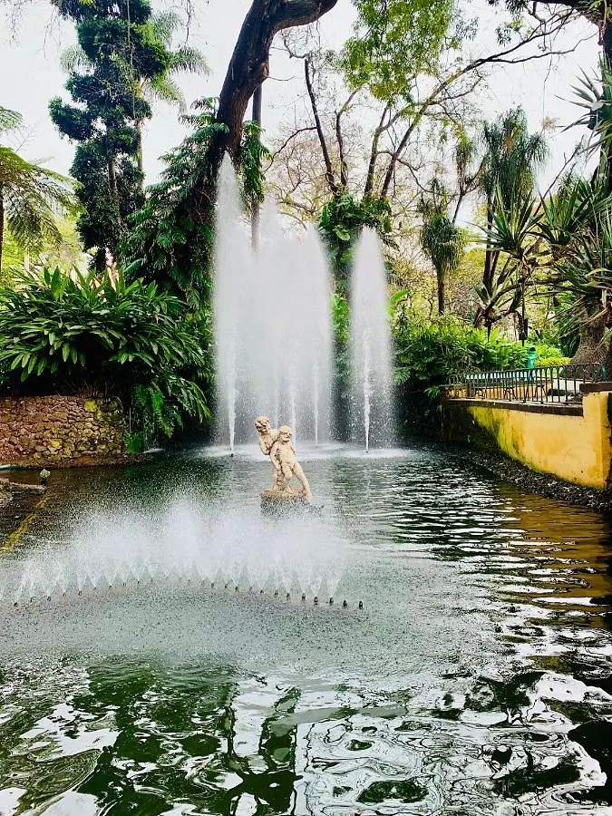 Santa Catarina By Ola Madeira Apartment Funchal