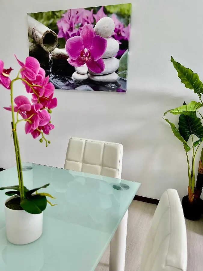 Santa Catarina By Ola Madeira Apartment Funchal   Funchal (Madeira)
